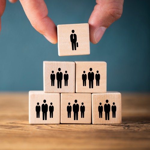 Filière de préparation à l’examen fédéral professionnel supérieur de Cadre des Organisations de Secours (COS) 2026
