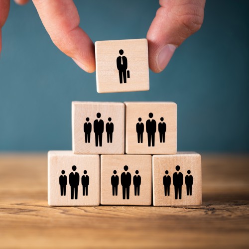 Filière de préparation à l’examen fédéral professionnel supérieur de Cadre des Organisations de Secours (COS)